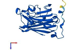 Chromosome 4 Open Reading Frame 33 (C4orf33) (AA 1-199) protein (His tag)