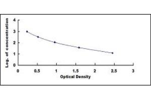 Activin B (ACVB) ELISA Kit