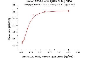 ELISA image for Tumor Necrosis Factor Receptor Superfamily, Member 8 (TNFRSF8) (AA 19-379) (Active) protein (Fc Tag) (ABIN6253596)