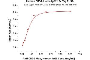 Immobilized Human CD30, Llama IgG2b Fc Tag, low endotoxin (ABIN5954943,ABIN6253596) at 0.