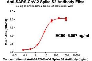 Elisa plate pre-coated by 2 μg/mL(100 μL/well) SARS-CoV-2 Spike S2 protein can bind Rabbit Anti-SARS-CoV-2 Spike S2 monoclonal antibody (clone:DM40) in a linear range of 0.