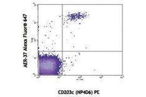 Flow Cytometry (FACS) image for anti-Fc Fragment of IgE Receptor Ia (FCER1A) antibody (Alexa Fluor 647) (ABIN2657890) (Fc epsilon RI/FCER1A antibody  (Alexa Fluor 647))