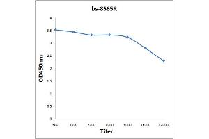 Antigen: 2 µg/100 µL  Primary: Antiserum, 1:500, 1:1000, 1:2000, 1:4000, 1:8000, 1:16000, 1:32000;  Secondary: HRP conjugated Rabbit Anti-Goat IgG at 1: 5000;  TMB staining Read the data in Microplate Reader by 450nm. (RENT1/UPF1 antibody  (AA 301-450))