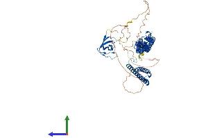 AlphaFold protein structure predicition of Mouse Recombinant Fnbp1 Protein, UniprotID Q80TY0 (FNBP1 Protein (AA 1-616) (His tag))