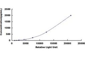 ELISA image for Oncostatin M (OSM) CLIA Kit (ABIN491815)