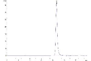 The purity of Human LRG1 is greater than 95 % as determined by SEC-HPLC. (LRG1 Protein (AA 36-347) (His tag))