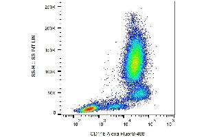 Surface staining of human peripheral blood with anti-CD11b (ICRF44) Alexa Fluor® 488. (CD11b antibody  (PE))