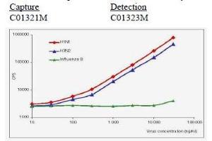 Calibration curve for Influenza A NP immunodetection in sandwich fluoroimmunoassay.