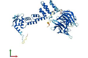 AlphaFold protein structure predicition of Mouse Recombinant Klhl38 Protein, UniprotID Q8BSF5