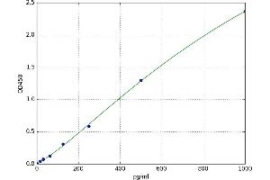 Basigin (Ok Blood Group) (BSG) ELISA Kit
