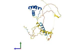 AlphaFold protein structure predicition of Human Recombinant DRGX Protein, UniprotID A6NNA5