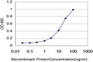 Detection limit for recombinant GST tagged RASEF is approximately 0. (RASEF antibody  (AA 631-740))