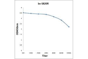 Antigen: 0. (HMGB4 antibody  (AA 31-130))