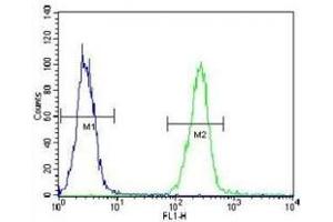 AARS2 antibody flow cytometric analysis of K562 cells (right histogram) compared to a negative control cell (left histogram). (AARS2 antibody  (AA 366-394))