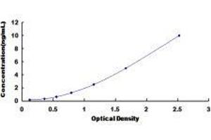 Myogenic Differentiation 1 (MYOD1) ELISA Kit