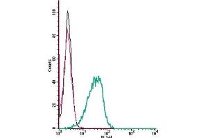 Cell surface detection of D5 dopamine receptor by indirect flow cytometry in live intact mouse J774 macrophage cells: (black line) Cells. (DRD5 antibody  (2nd Extracellular Loop))