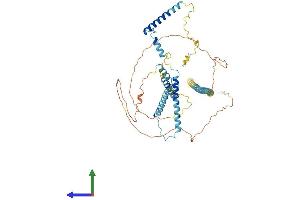 Protein Structure (PS) image for Nuclear Speckle Splicing Regulatory Protein 1 (NSRP1) (AA 1-542) protein (His tag) (ABIN7557484)