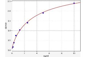 Typical standard curve (CSNK2A1/CK II alpha ELISA Kit)