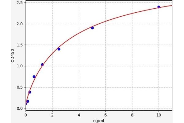 CSNK2A1/CK II alpha ELISA Kit