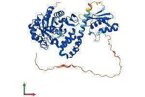 Protein Structure (PS) image for Dihydrouridine Synthase 2-Like (DUS2L) (AA 1-493) protein (His tag) (ABIN7547297)