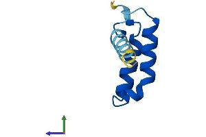 AlphaFold protein structure predicition of Human Recombinant CMC4 Protein, UniprotID P56277 (CMC4 Protein (AA 1-68) (Fc Tag))