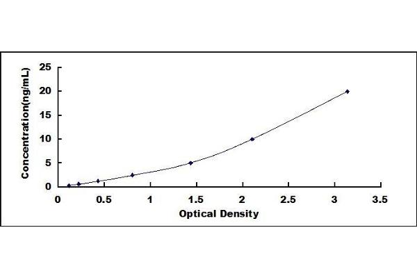 LGMN ELISA Kit