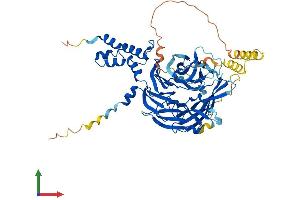 AlphaFold protein structure predicition of Mouse Recombinant Fbxw5 Protein, UniprotID Q9QXW2 (FBXW5 Protein (AA 1-573) (His tag))