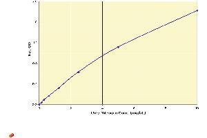 Image no. 1 for Urea Nitrogen (BUN) detection Kit (ABIN577679)