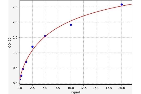 TNK2 ELISA Kit