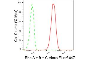 Flow cytometric analysis of Rho A + B + C expression in C2C12 cells using Rho A + B + C antibody (ABIN7800208), 1:2,000). (Recombinant RhoA,B,C antibody)