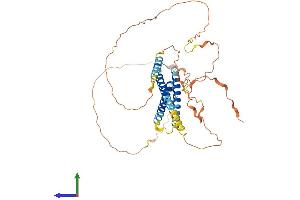 AlphaFold protein structure predicition of Human Recombinant SYNE4 Protein, UniprotID Q8N205 (C19orf46 Protein (AA 1-404) (His tag))