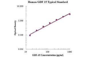 ELISA image for Growth Differentiation Factor 15 (GDF15) ELISA Kit (ABIN3198535)