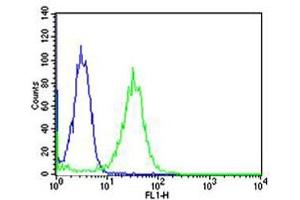 Flow cytometric analysis of Hela cells using FK Antibody (green, Cat(ABIN1944786 and ABIN2838527)) compared to an isotype control of mouse IgG1(blue). (MAFK antibody)