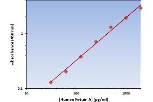 This is an example of what a typical standard curve will look like. (Fetuin A ELISA Kit)