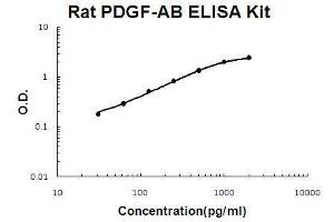 Rat PDGF-AB PicoKine ELISA Kit standard curve