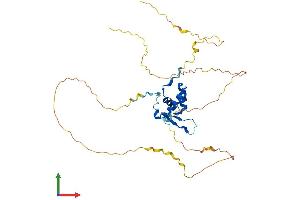 AlphaFold protein structure predicition of Mouse Recombinant Foxl1 Protein, UniprotID Q64731