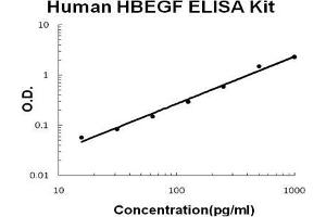 Human HBEGF PicoKine ELISA Kit standard curve (HBEGF ELISA Kit)
