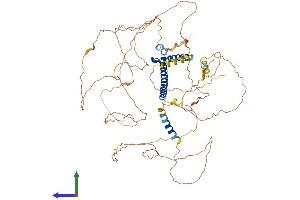 AlphaFold protein structure predicition of Human Recombinant TCF3 Protein, UniprotID P15923 (TCF3 Protein (AA 1-654) (His tag))