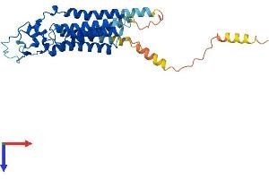 Lipid Phosphate Phosphatase-Related Protein Type 5 (LPPR5) (AA 1-321) protein (His tag)