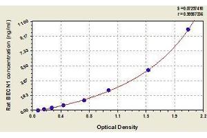 Typical standard curve (Beclin 1 ELISA Kit)