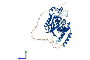 Protein Structure (PS) image for Exoribonuclease 1 (ERI1) (AA 1-345) protein (His tag) (ABIN7558211)