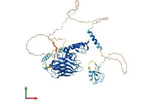 AlphaFold protein structure predicition of Mouse Recombinant Ubox5 Protein, UniprotID Q925F4 (UBOX5 Protein (AA 1-539) (His tag))