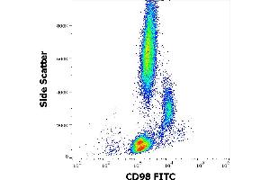 Flow cytometry surface staining pattern of human peripheral whole blood stained using anti-human CD98 (MEM-108) FITC antibody (20 μL reagent / 100 μL of peripheral whole blood). (SLC3A2 antibody  (FITC))