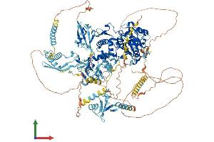 AlphaFold protein structure predicition of Human Recombinant VCPIP1 Protein, UniprotID Q96JH7 (Vcpip1 Protein (AA 1-1222) (His tag))