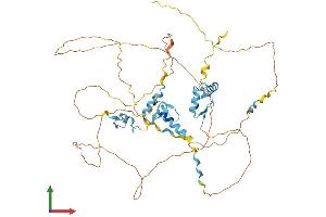 Protein Structure (PS) image for Insulinoma-Associated 1 (INSM1) (AA 1-521) protein (His tag) (ABIN7563973)