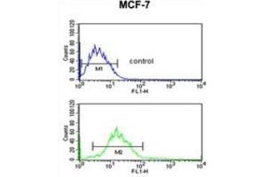 Flow Cytometry (FACS) image for anti-Endonuclease G (ENDOG) antibody (ABIN3002690) (Endonuclease G antibody)