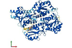 AlphaFold protein structure predicition of Mouse Recombinant Pfkp Protein, UniprotID Q9WUA3