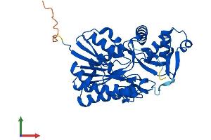 Protein Structure (PS) image for TDP-Glucose 4,6-Dehydratase (TGDS) (AA 1-350) protein (His tag) (ABIN7544402)