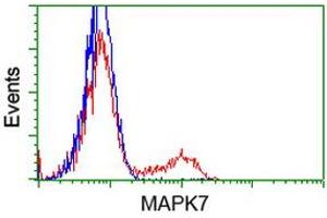 HEK293T cells transfected with either RC203506 overexpress plasmid (Red) or empty vector control plasmid (Blue) were immunostained by anti-MAPK7 antibody (ABIN2454020), and then analyzed by flow cytometry. (MAPK7 antibody)