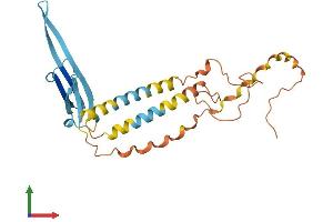 Protein Structure (PS) image for Outer Dense Fiber of Sperm Tails 1 (ODF1) (AA 1-247) protein (His tag) (ABIN7557752)